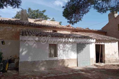 Finca i Yecla, Murcia, Yecla - € 350.000 | Ref: SF0507 - foto 14